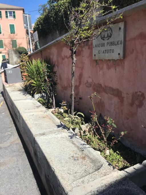 Pisi Home, 2 Min Dalla Spiaggia E Dall' Ospedale Gaslini Genua Exterior foto